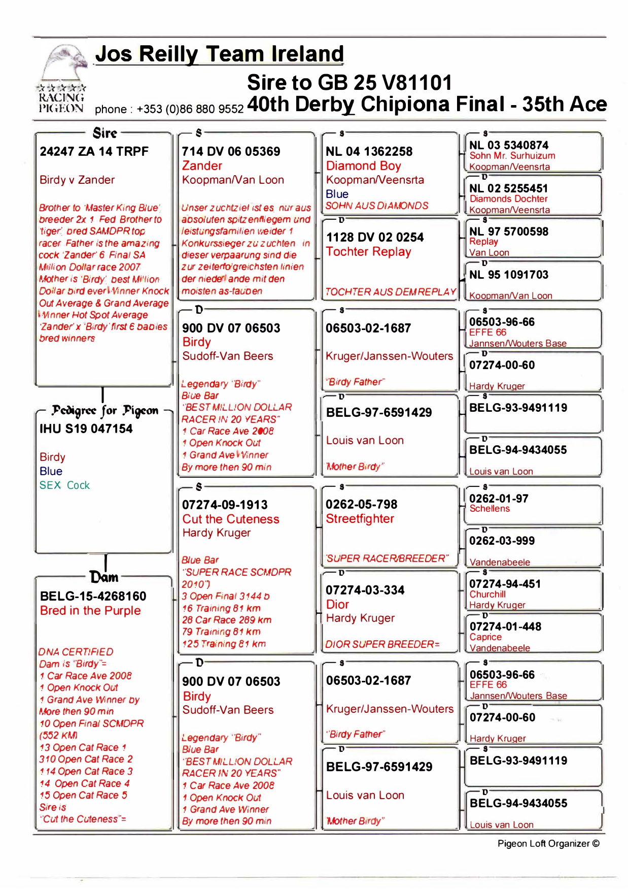 40	FINAL RACE (515 km) 	 KELVIN YOUNG	 GB-25-V81101	