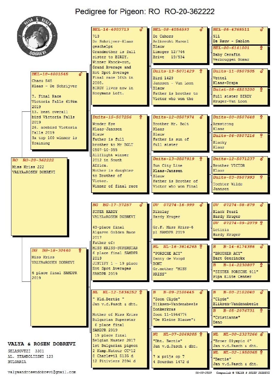 40	FINAL RACE (515 km) 	 KELVIN YOUNG	 GB-25-V81101	