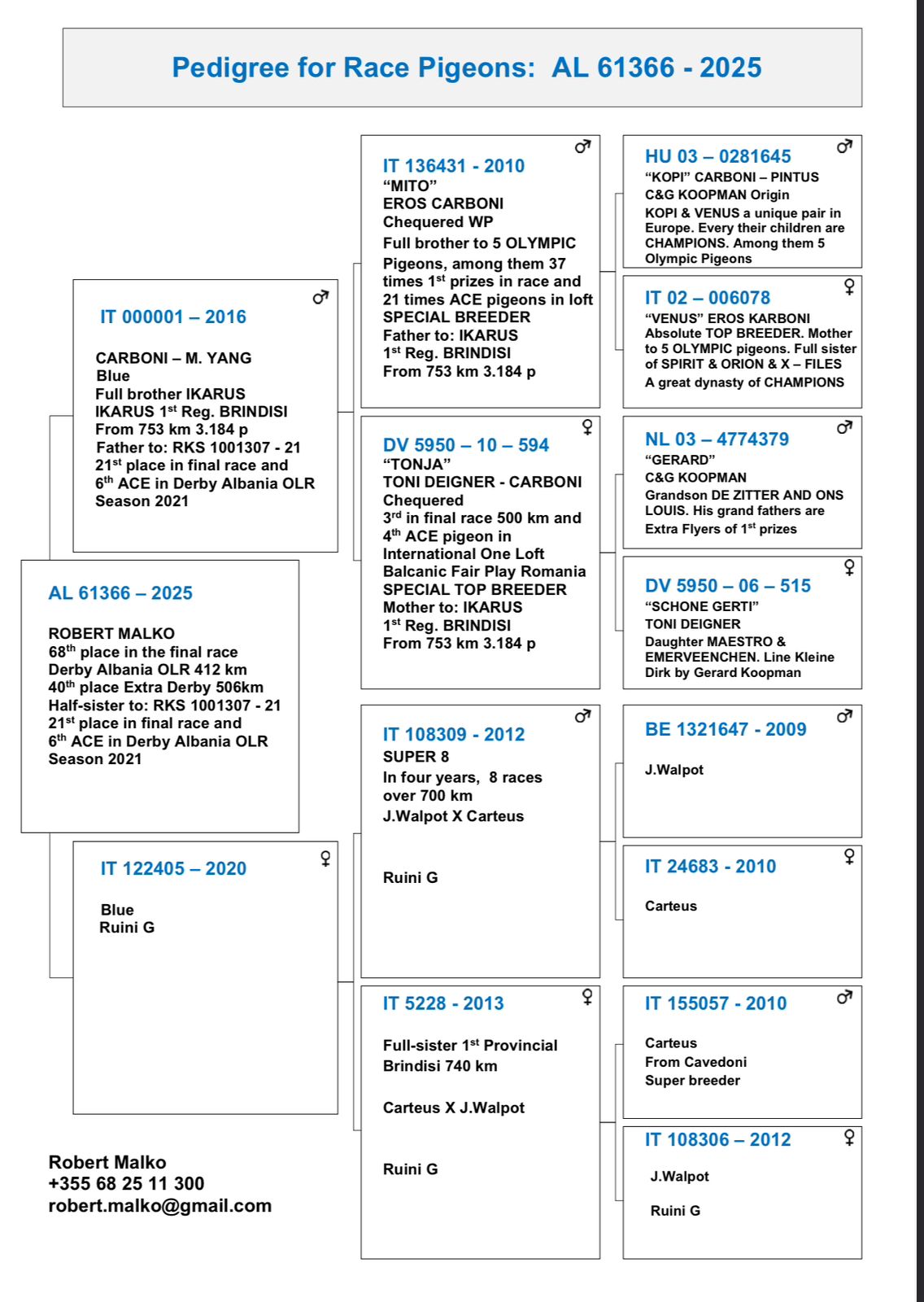 40	place Super Derby (506 km) 	 Fadlin Malko & Fred Hysko	 AL-61366-2025	