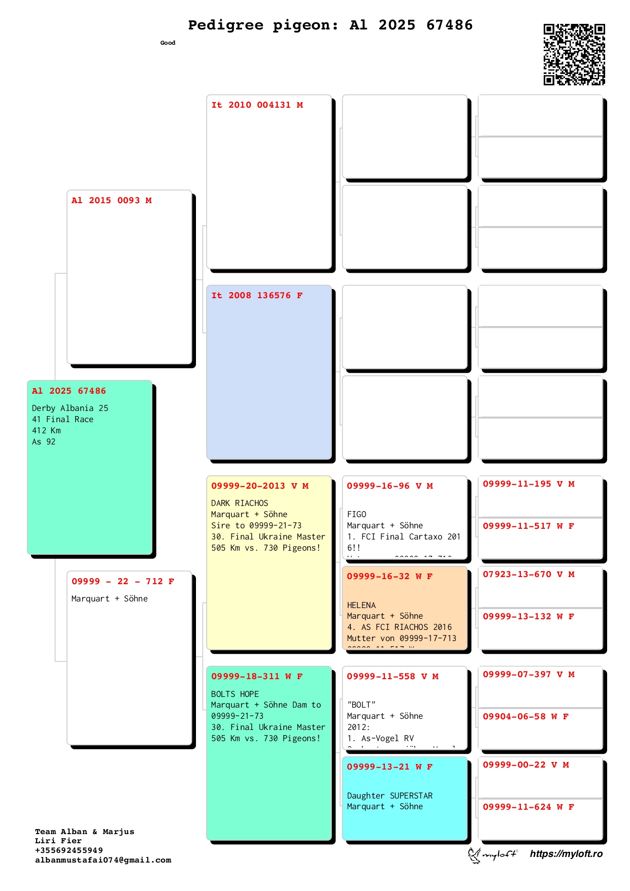 41	Final Race (412 km) 	 Bani & Marjus	 AL-67486-2025	
