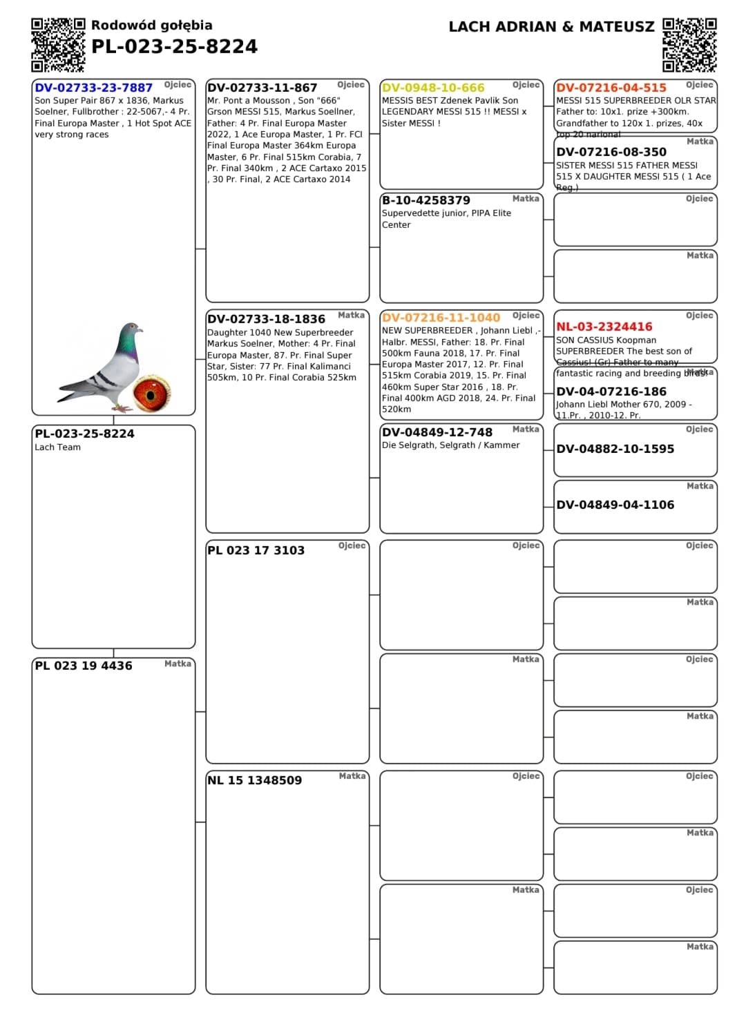 41	Final Race (506 km) 	 LACH TEAM	 PL 23 8224	