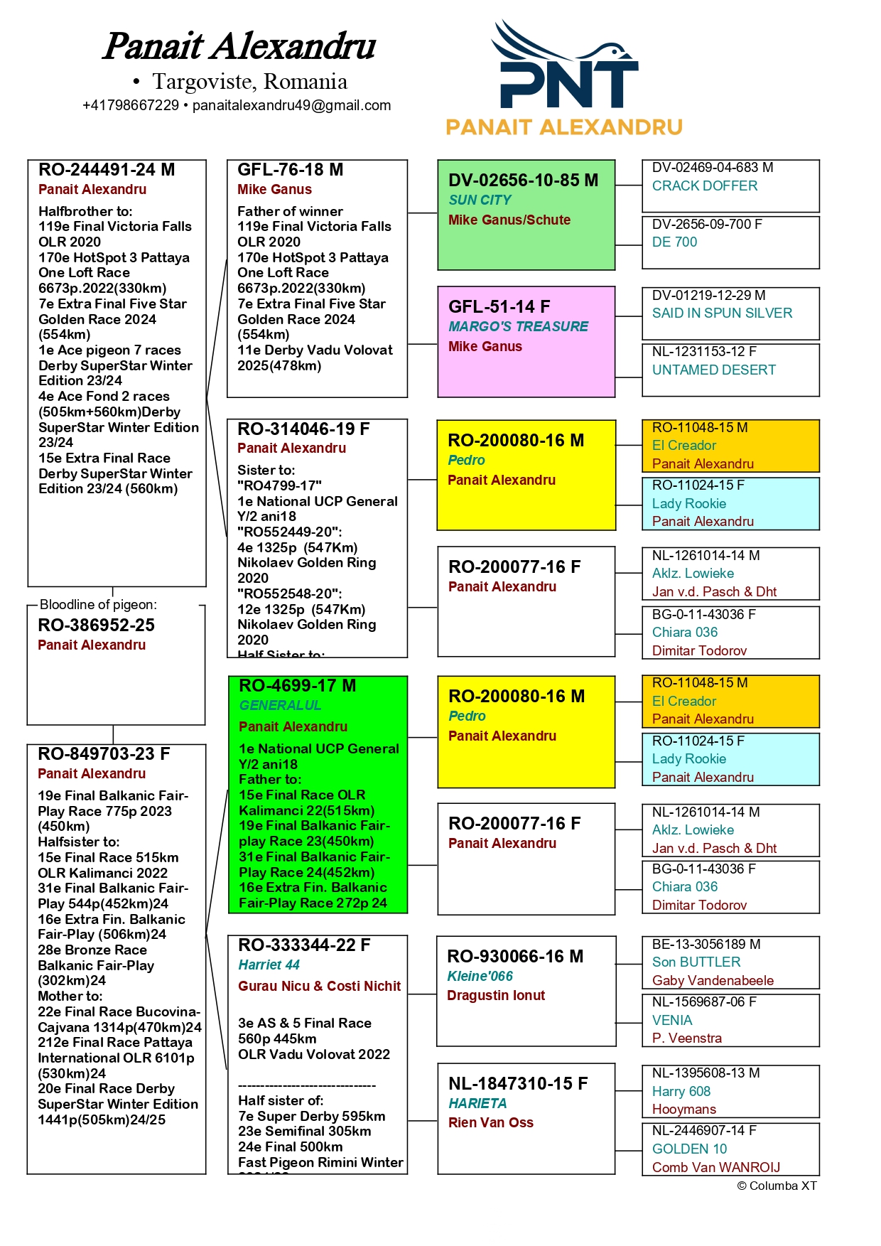 41	FINAL RACE (515 km) 	 PANAIT ALEXANDRU	 RO-25-386952	
