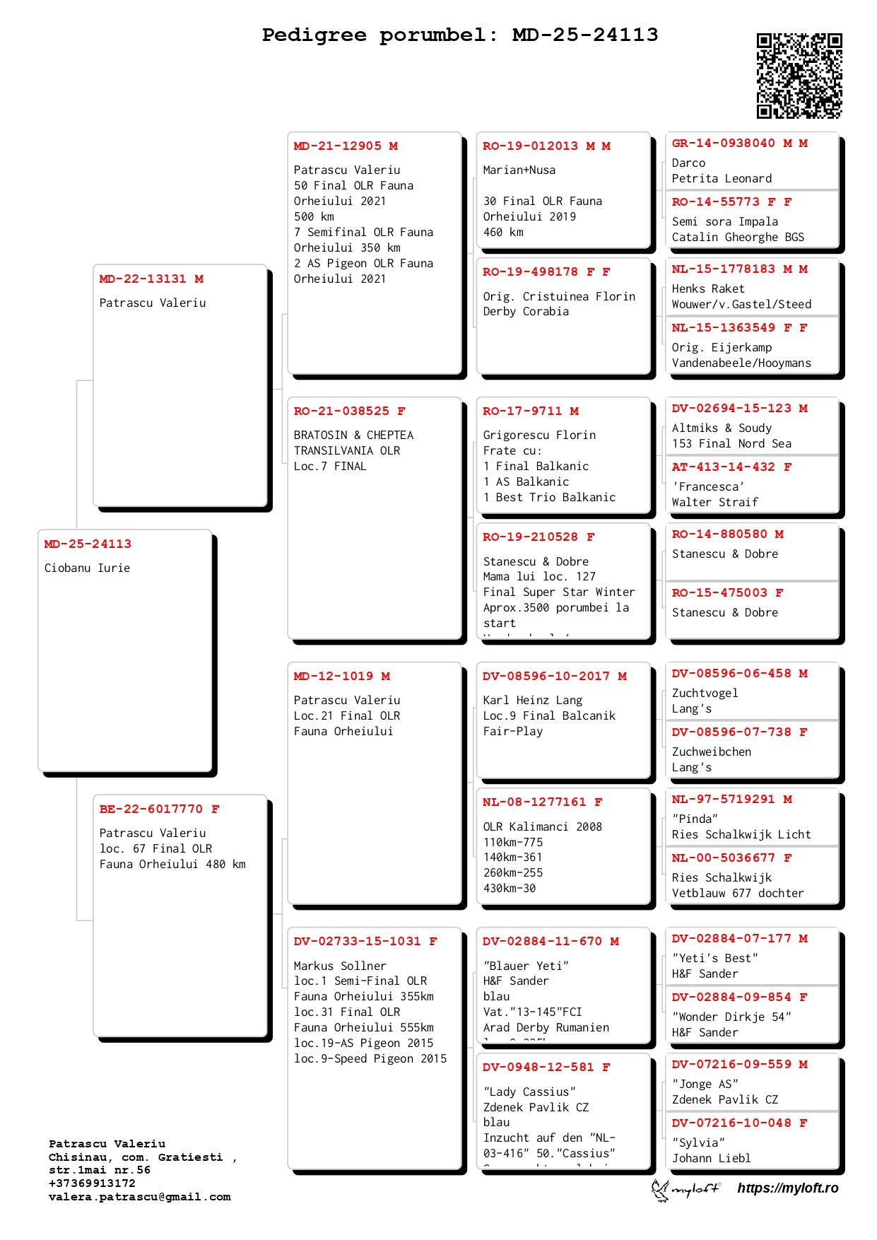 41	place Extra Super Derby (605 km) 	 Ciobanu Iurie	 MD-25-24113	