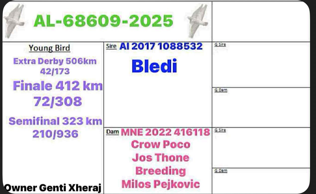 42	place Super Derby (506 km) 	 Genti Xheraj	 AL-68609-2025	