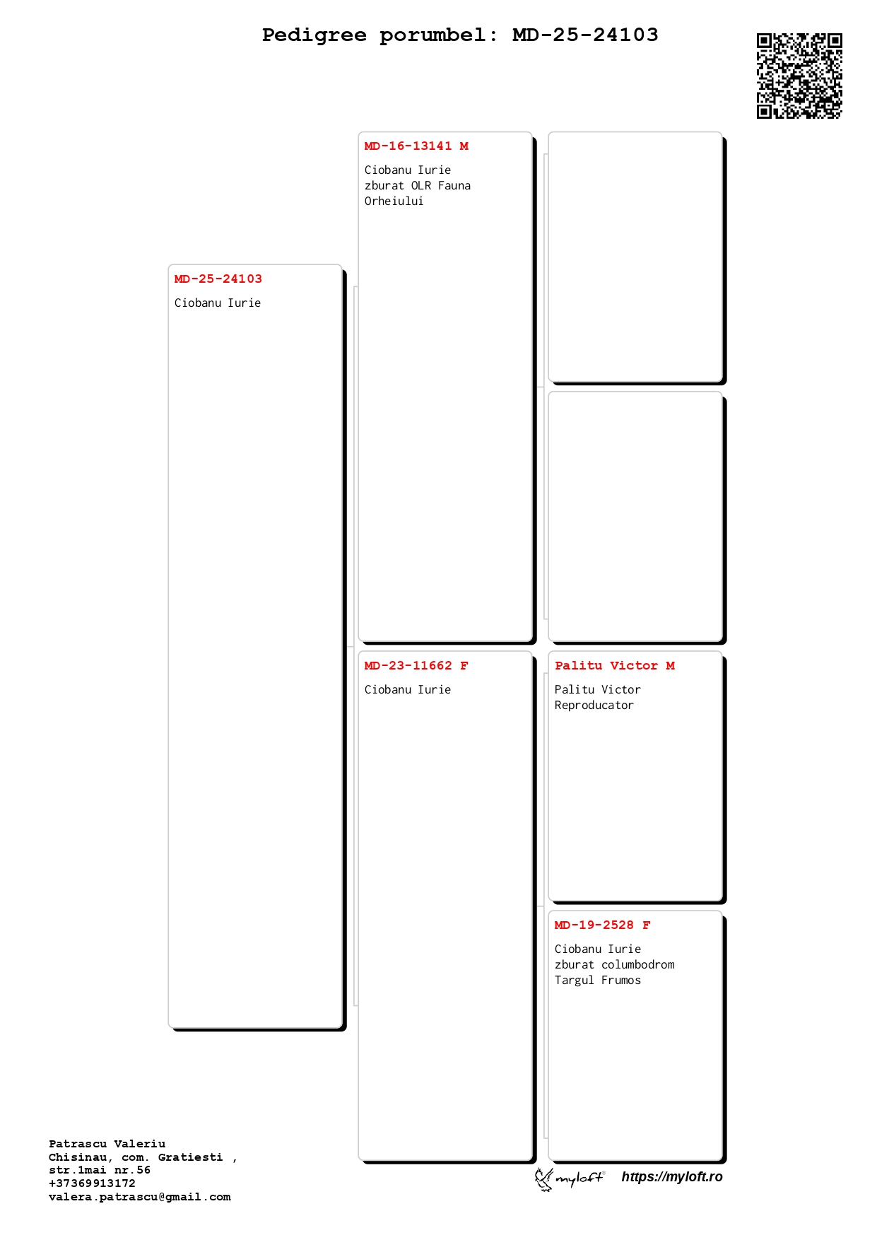 43	place Extra Super Derby (605 km) 	 Ciobanu Iurie	 MD-25-24103	