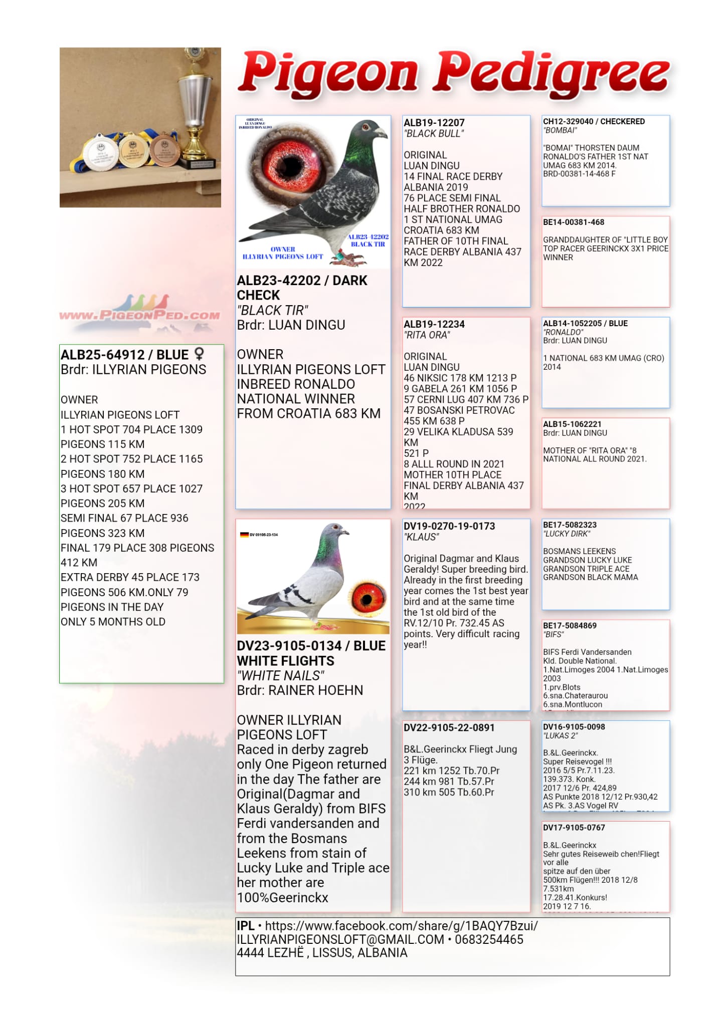 44	place Super Derby (506 km) 	 Beqo Vizion Team C	 AL-68883-2025	