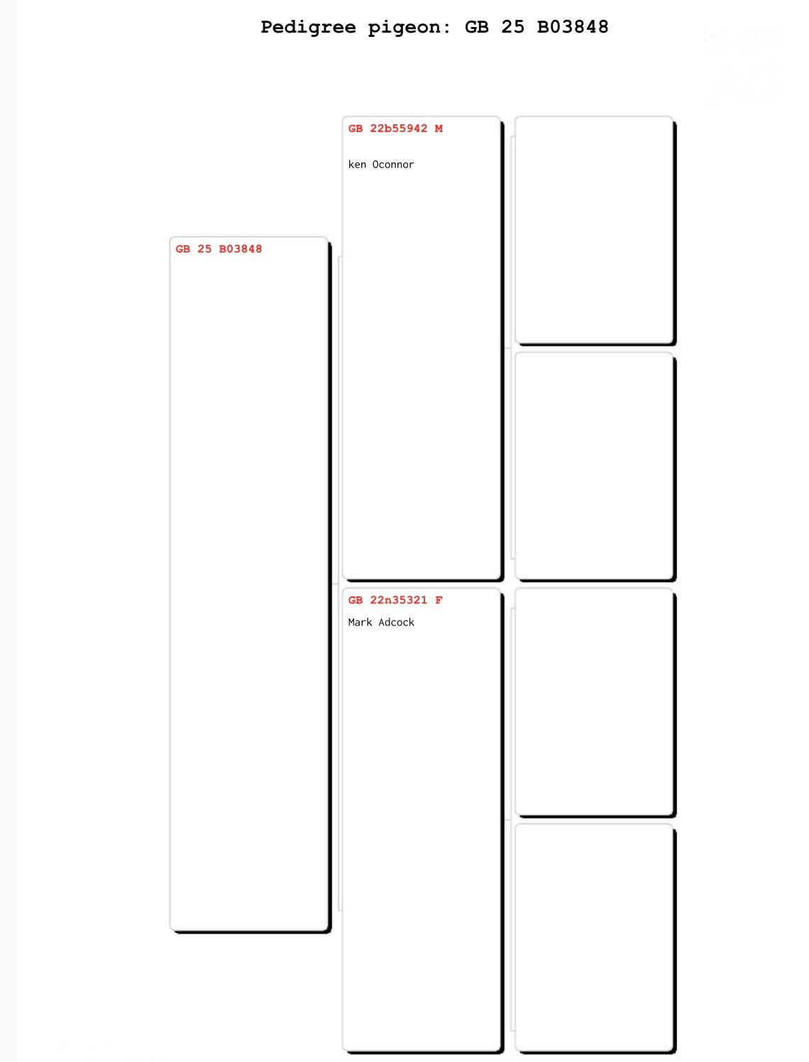 443	place EXTRA FINAL (656 km) STRINGER & GABARA	  GB-25-B03848	