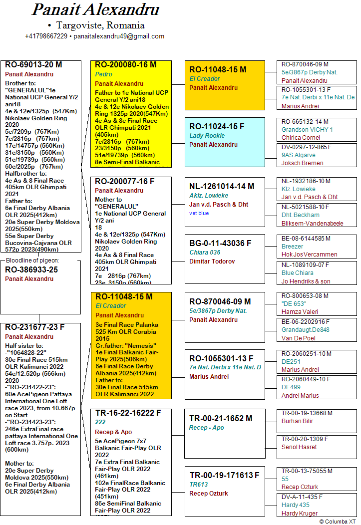446	place EXTRA FINAL (656 km) PANAIT ALEXANDRU	  RO-25-386933	
