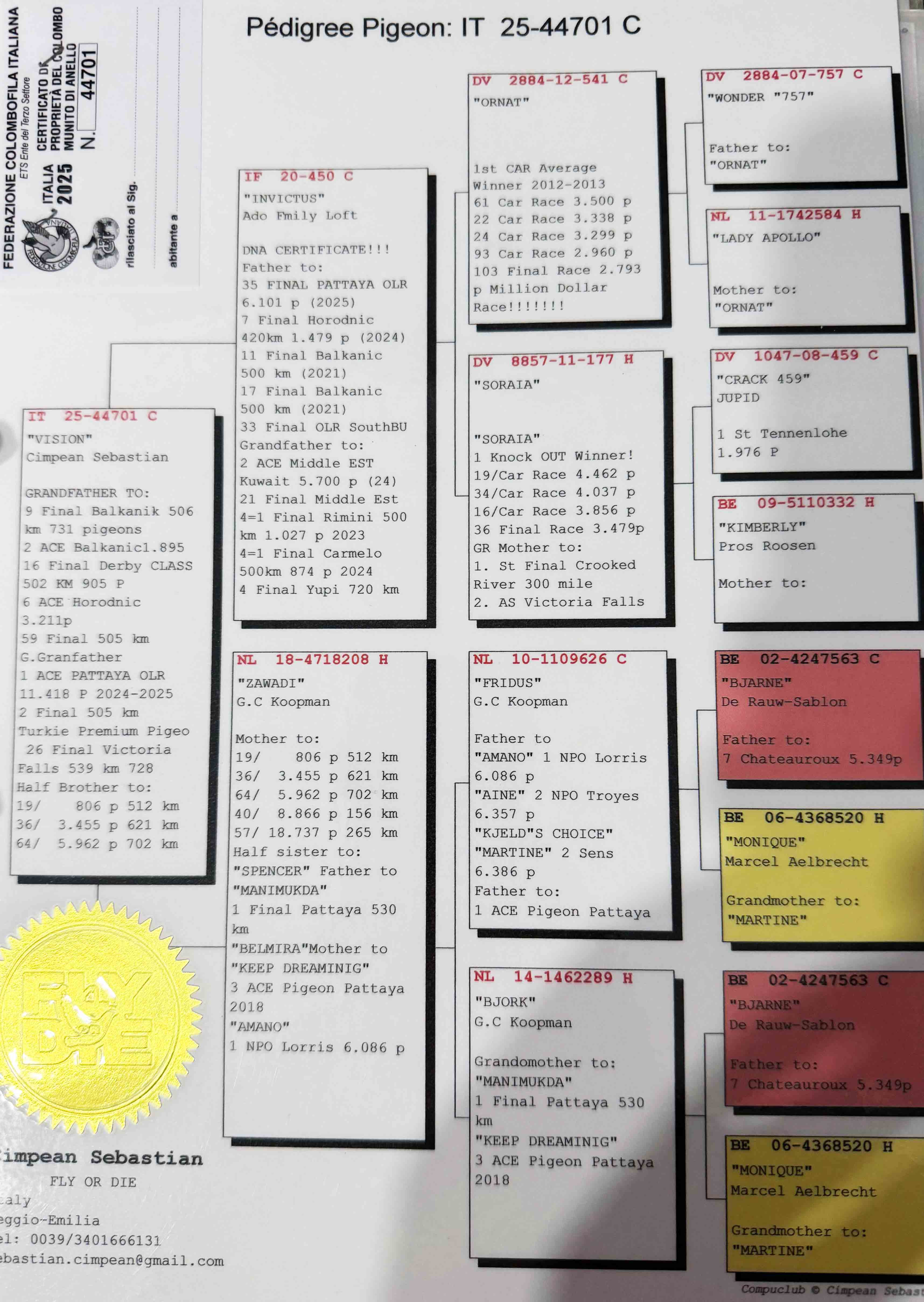 46	place Extra Final Race (506km)	DUTA ILIE	RO 21630