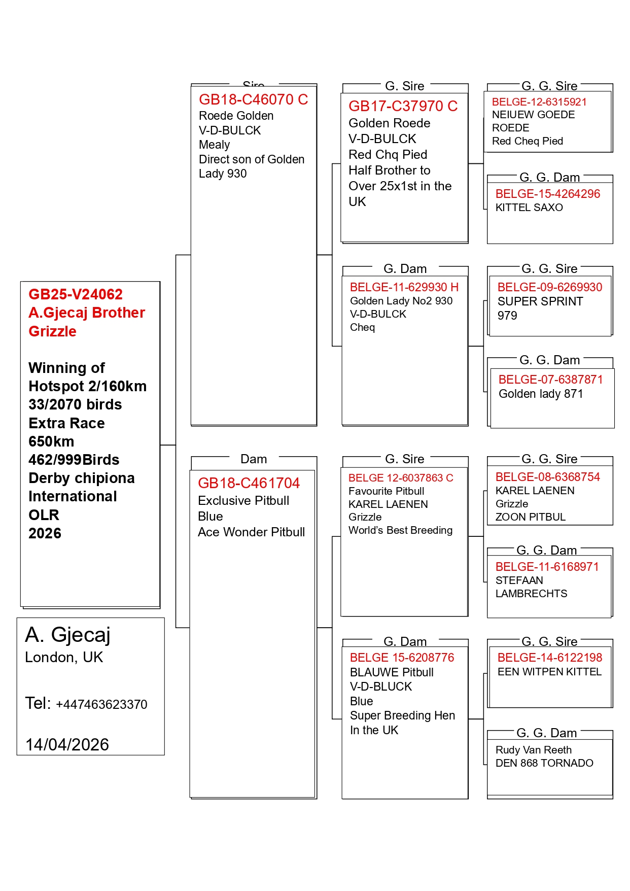 462	place EXTRA FINAL (656 km) A. GJECAJ BROTHERS	  GB-25-V24062	