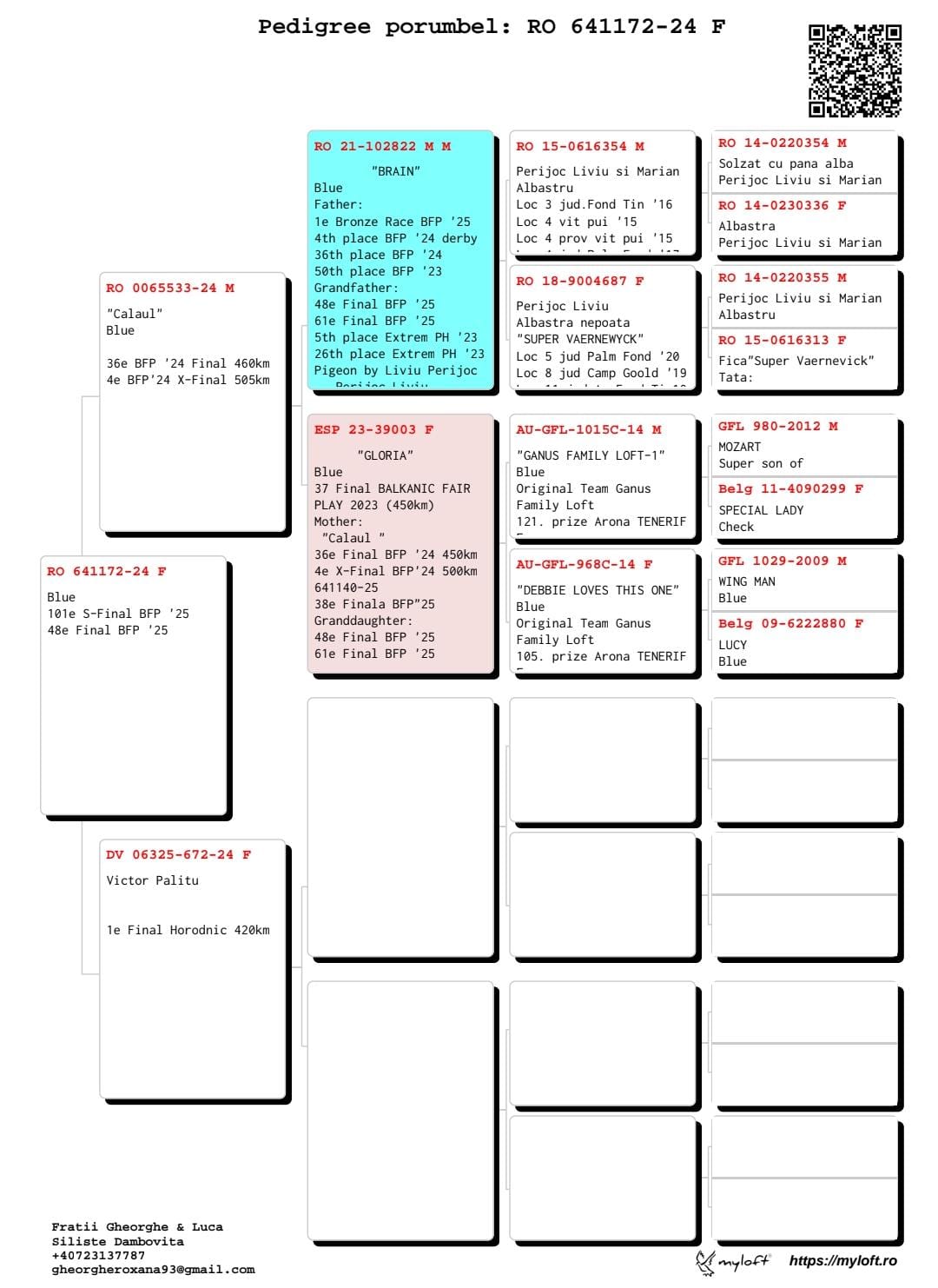 48	Final Race (506 km) 	 LUCA PIGEONS TRANSPORT	 RO 641172	
