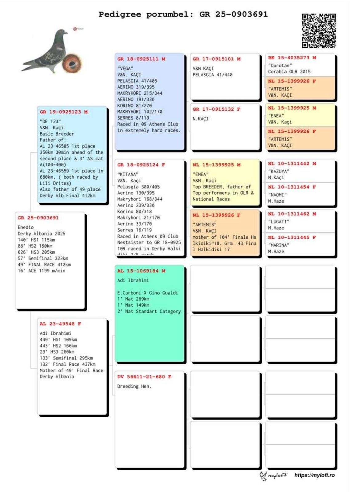 49	Final Race (412 km) 	 Enedio	 GR-0903691-2025	