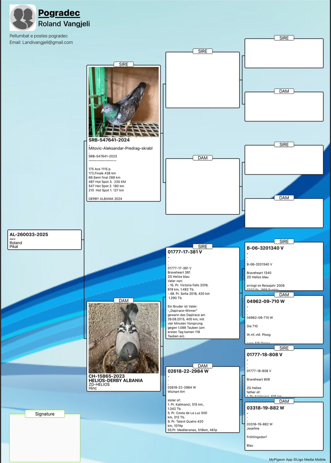 49	place Super Derby (506 km) 	 Maren Pogradec	 AL-260033-2025	