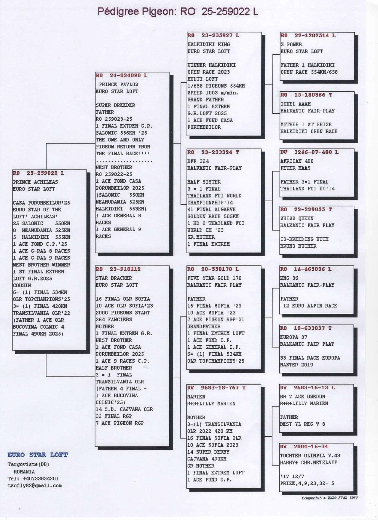 5 place EXTRA SUPER DERBY (553 km) + 1 Ace 3x Fond EURO STAR LOFT 259022 25