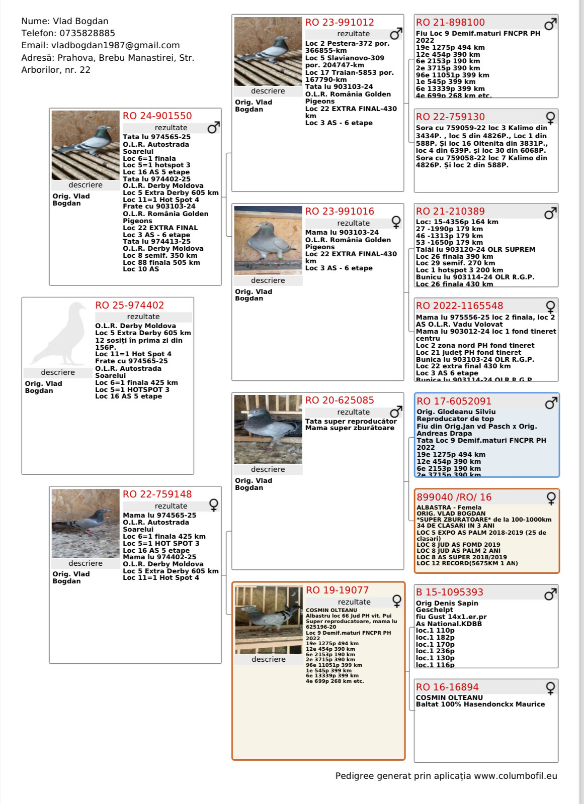 5	place Extra Super Derby (605 km) 	 Vlad Bogdan	 RO-25-0974402	