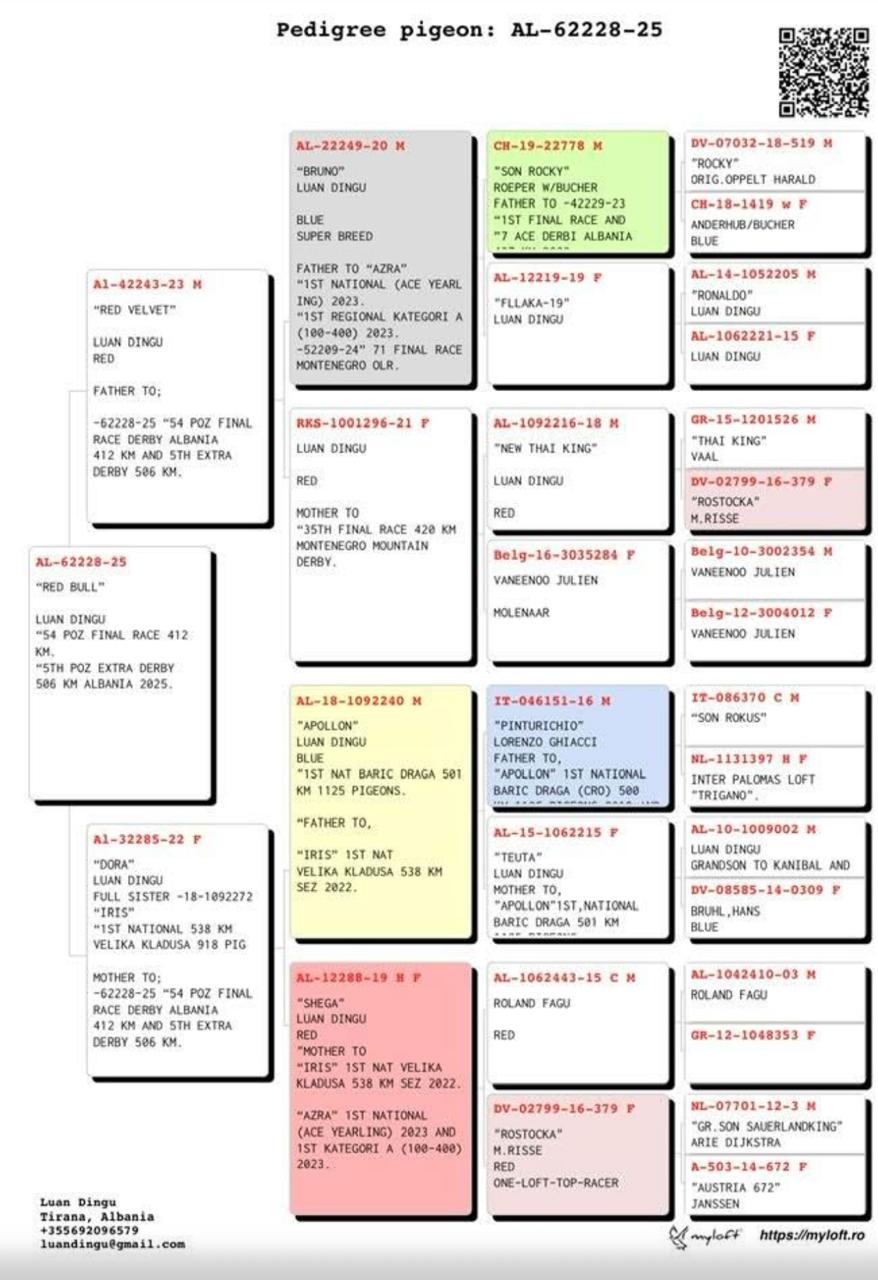 5	place Super Derby (506 km) 	 Luan Dingu Team B	 AL-62228-2025	