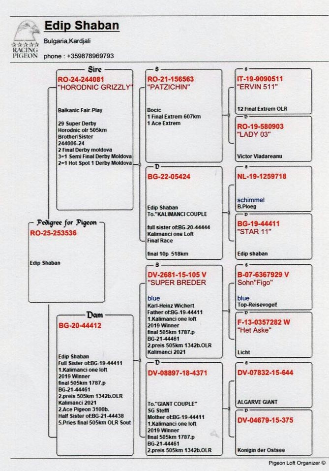 5	place Super Derby Halkidiki (554 km)	EDIP SHABAN	253536	25					