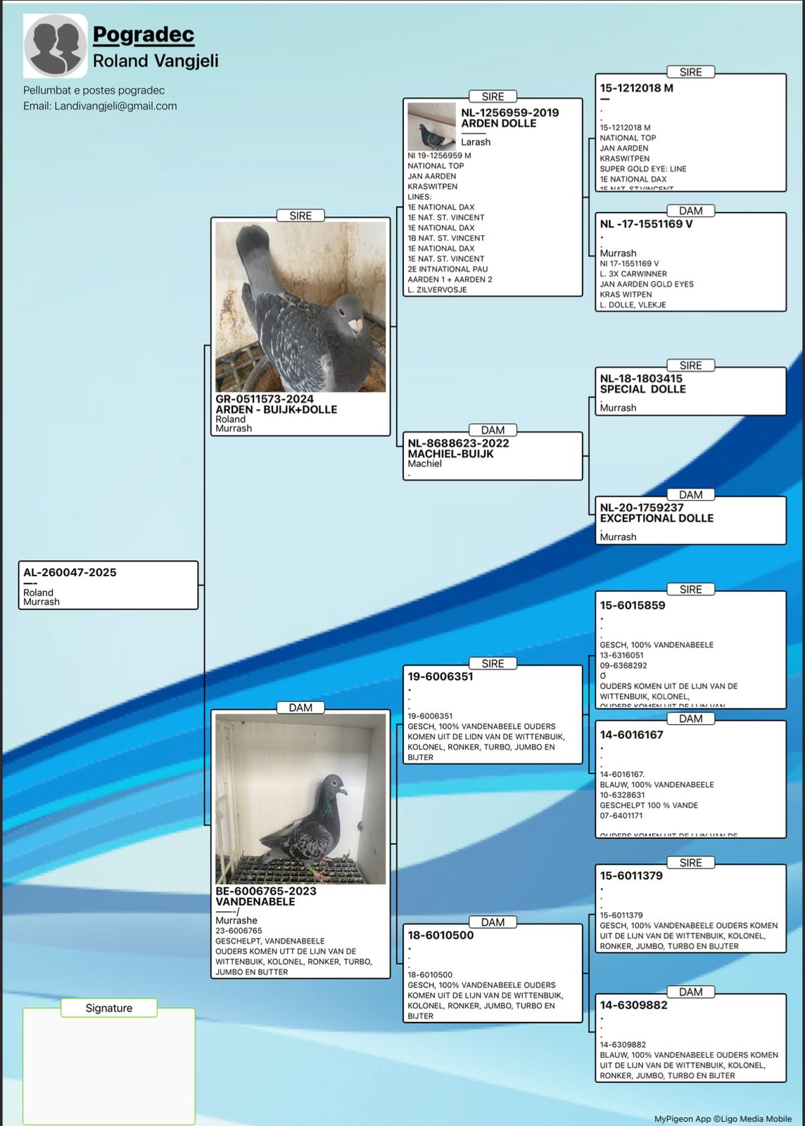 50	place Super Derby (506 km) 	 Maren Pogradec	 AL-260047-2025	