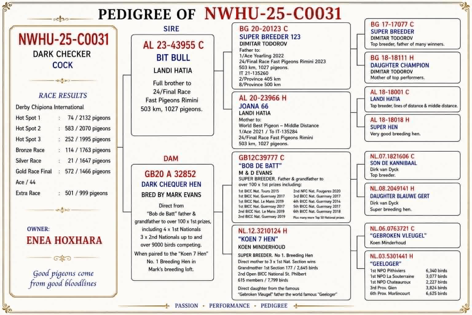 501	place EXTRA FINAL (656 km) ENEA HOXHARA	  NWHU-25-C0031	