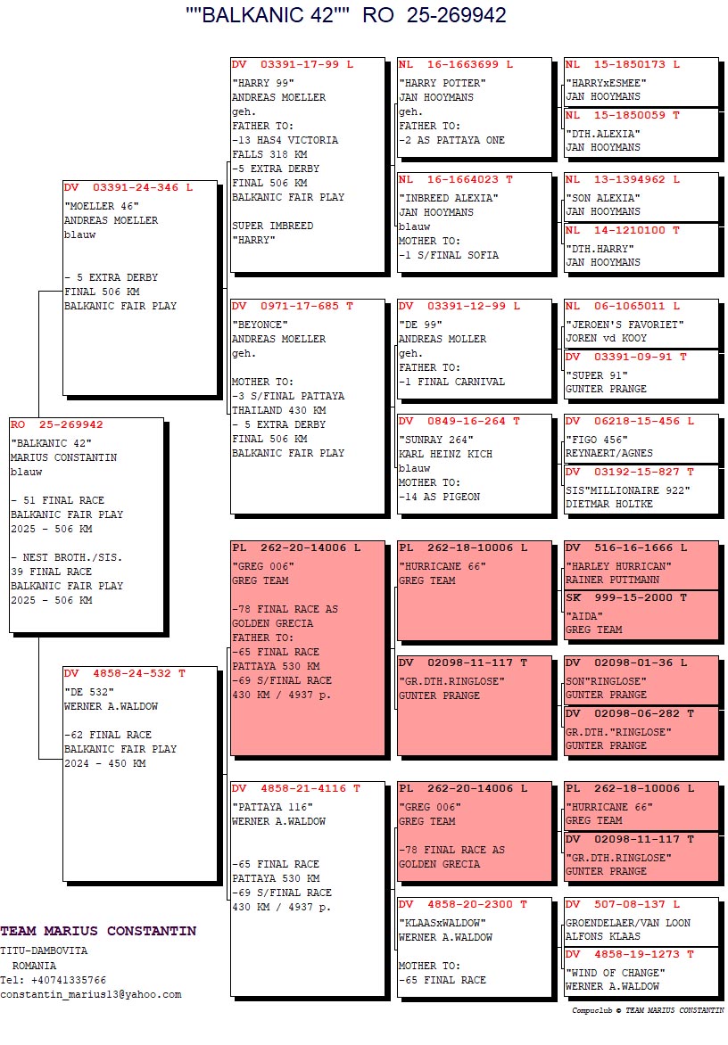 51	Final Race (506 km) 	 TEAM MARIUS CONSTANTIN	 RO 269942	