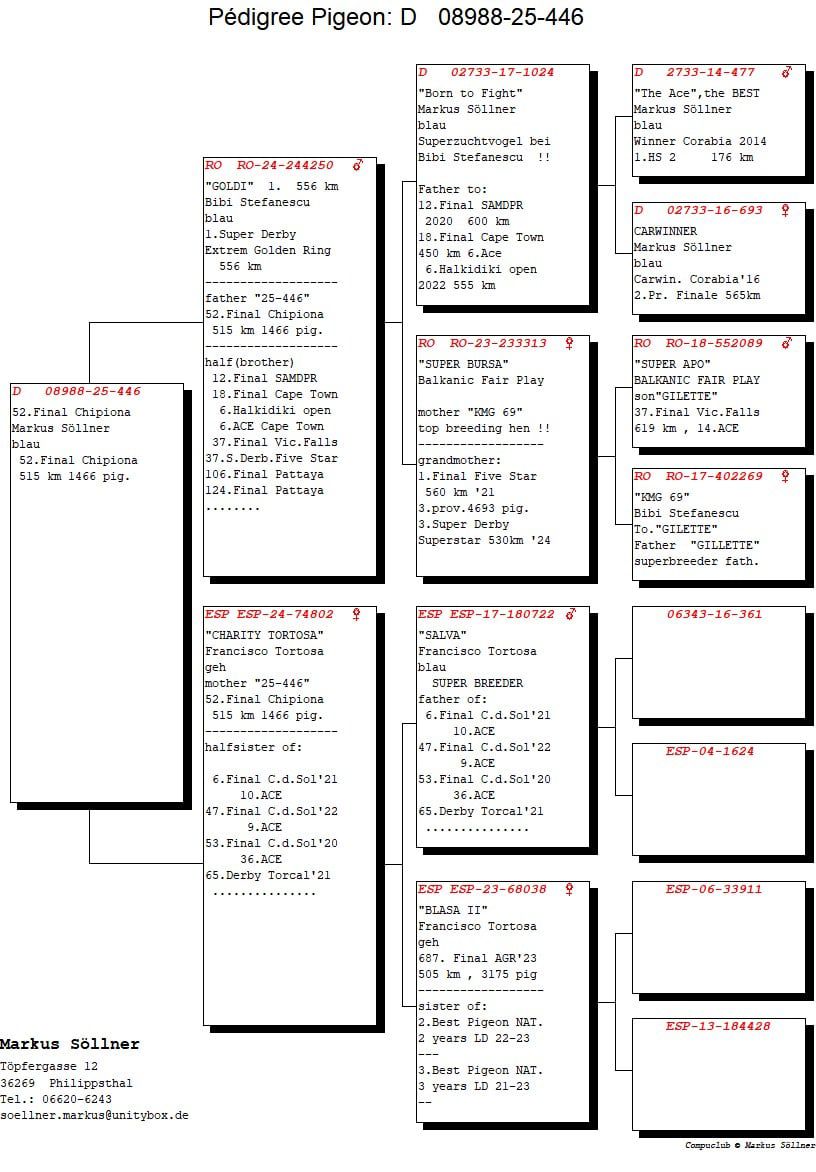 52	place Final (515 km)	FAMILIE SOELLNER	DV-08988-25-446