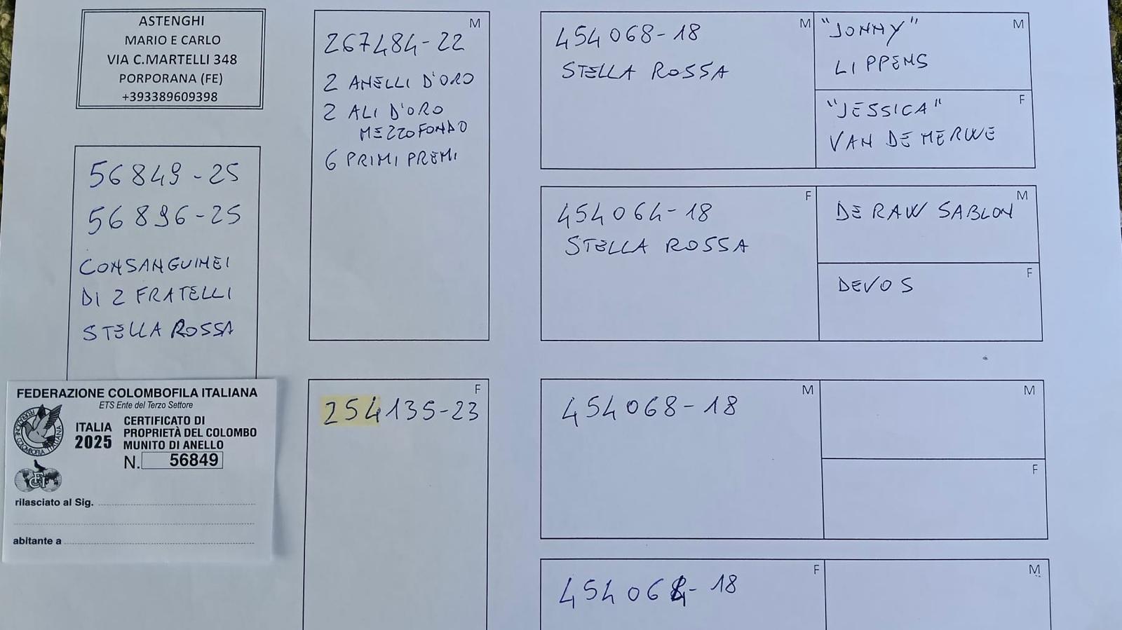 53	place EXTRA FINAL (656 km) 	 NEMES HORATIU ALEXANDRU	 IT-25-56849	