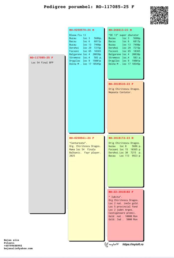 54	Final Race (506 km) 	 CHIRITESCU DRAGOS + CHARLY	 RO 117085	