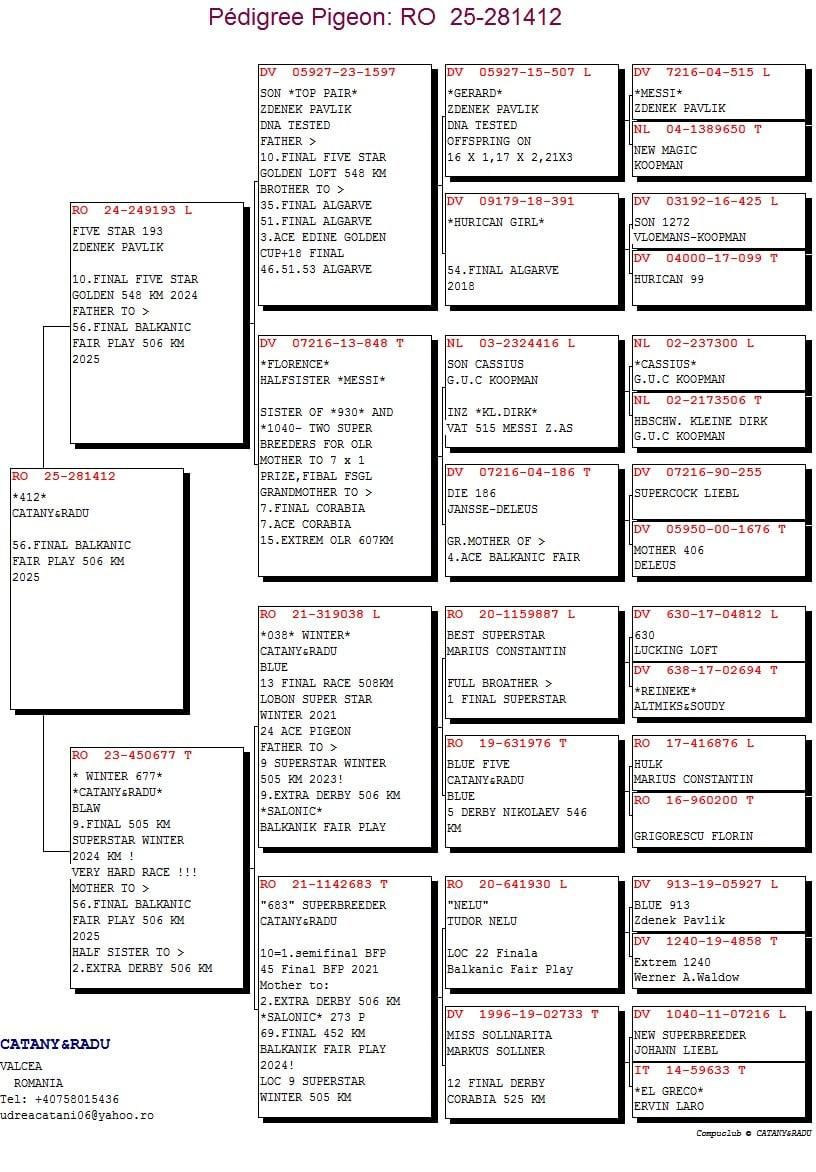 56	Final Race (506 km) 	 CATANY & RADU	 RO 281412	