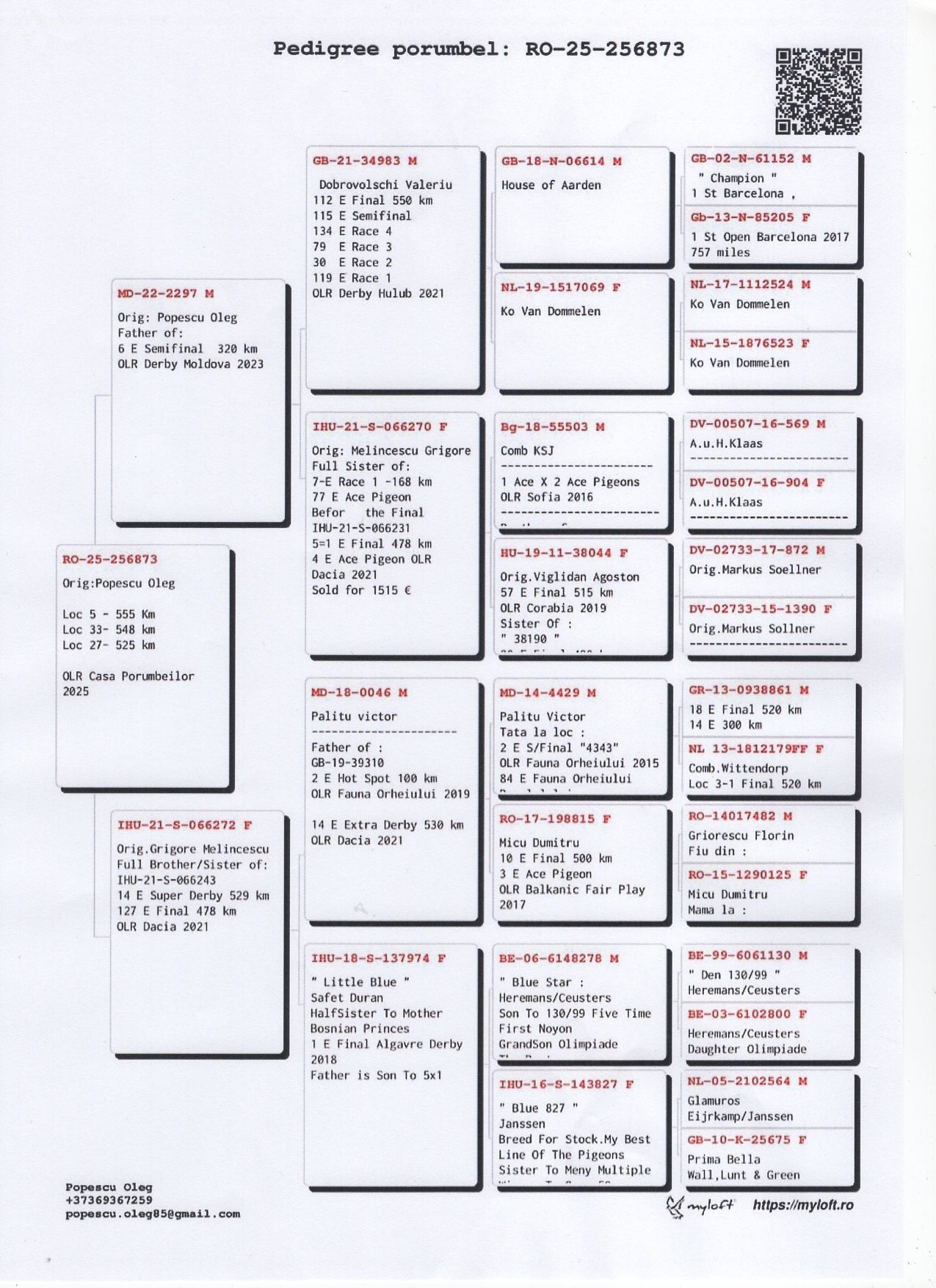 6 place EXTRA SUPER DERBY (553 km) POPESCU FAMILY 256873 25