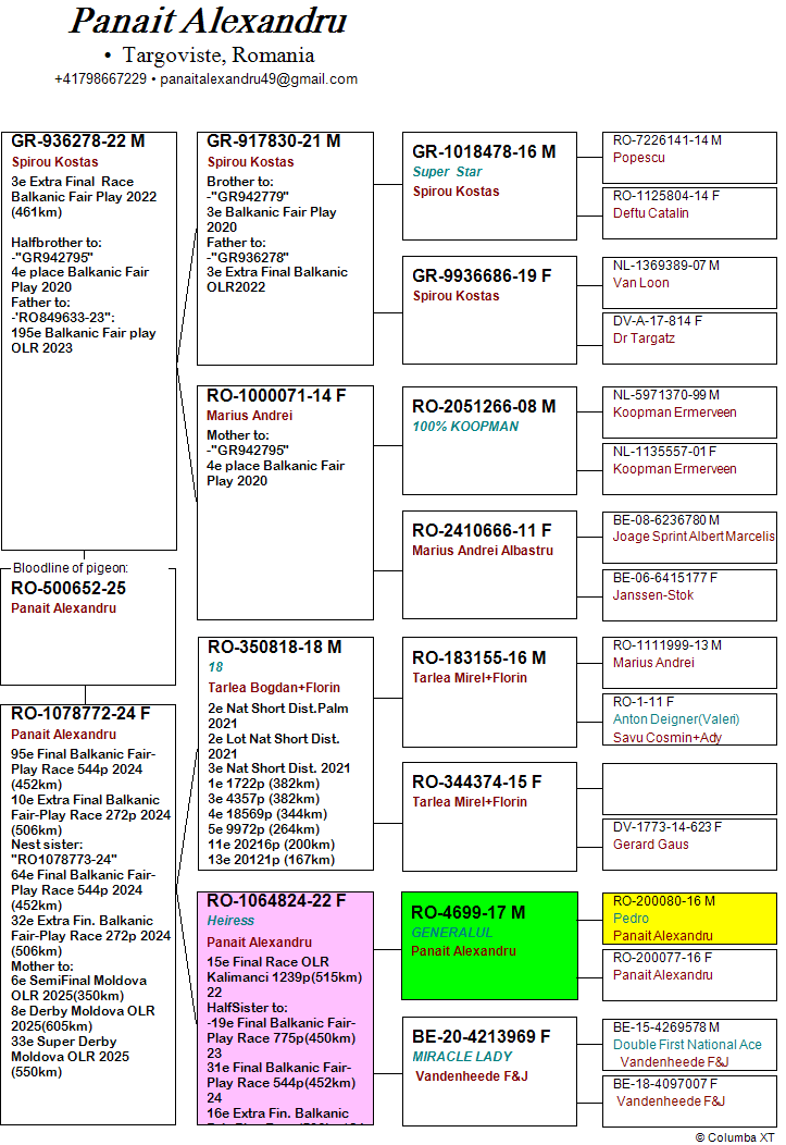 6	place Extra Super Derby (605 km) 	 Panait Alexandru	 RO-25-500652	