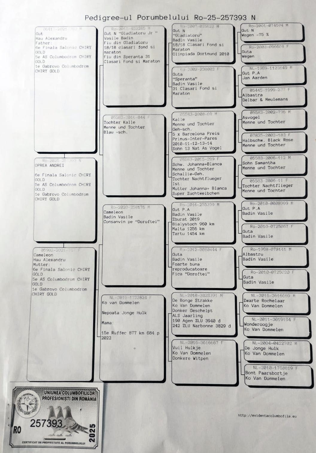 6 place Final (562 km) + 5 Ace OPREA ANDREI - RO 257393/25