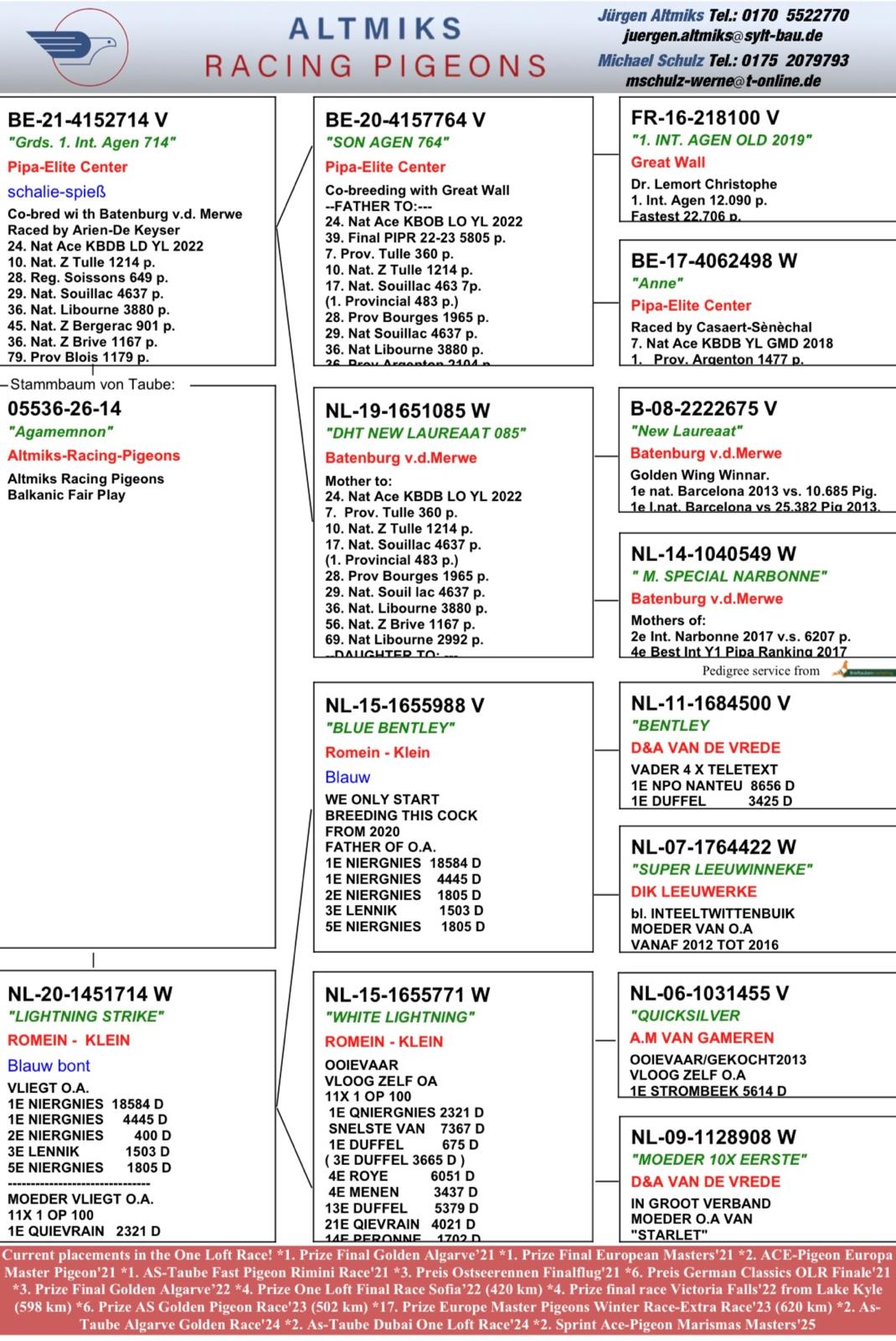 6	place Final Race (452km)	ALTMIKS RACING PIGEONS	DV 5536 14
