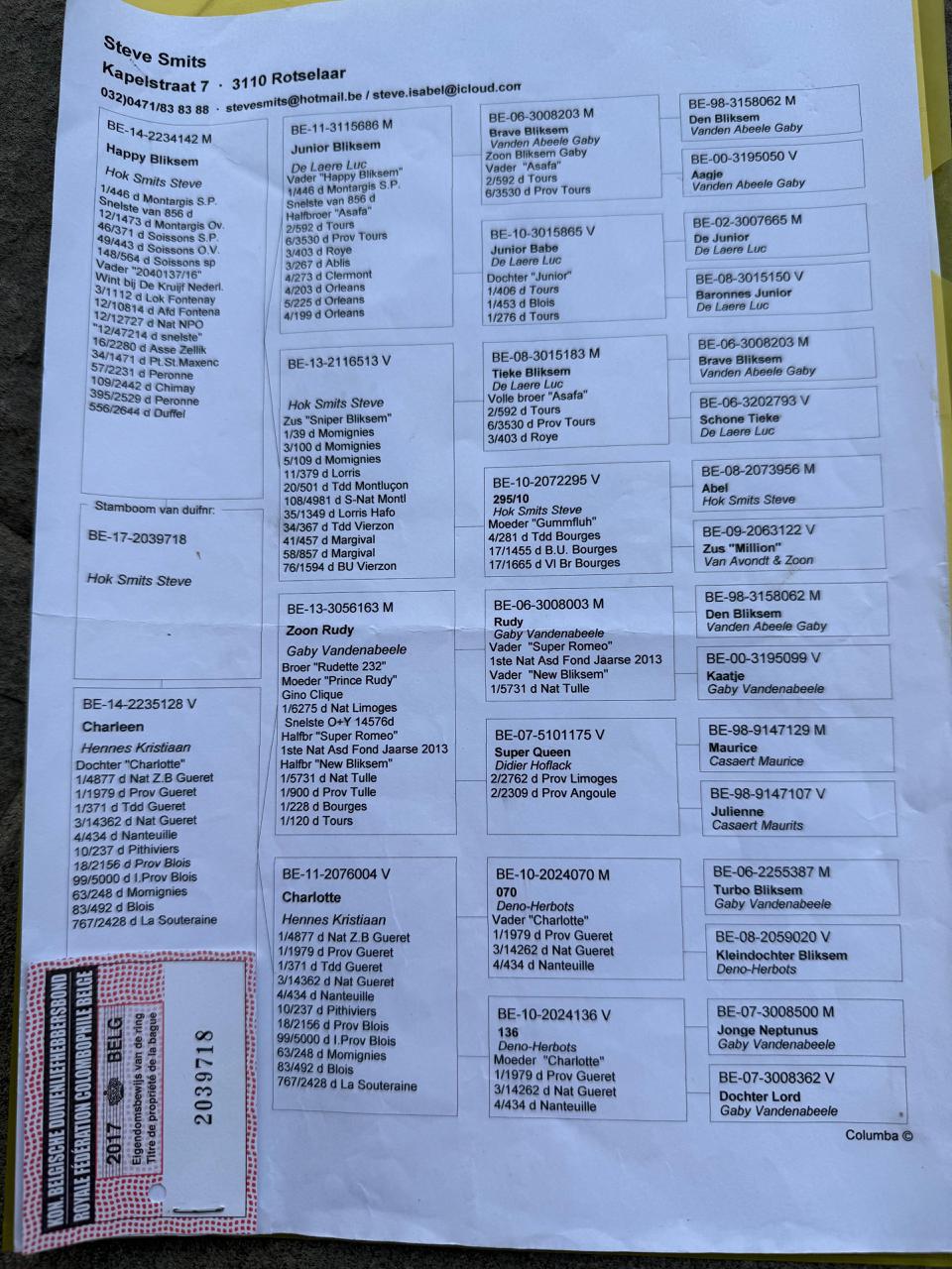 6	place Super Derby (506 km) 	 Team Nikolas	 IT-62084-2025	