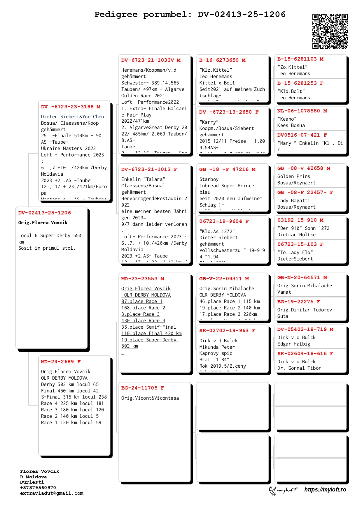 6	place Super Derby (550 km) 	 Florea Family Loft	 DV-25-02413-1206	
