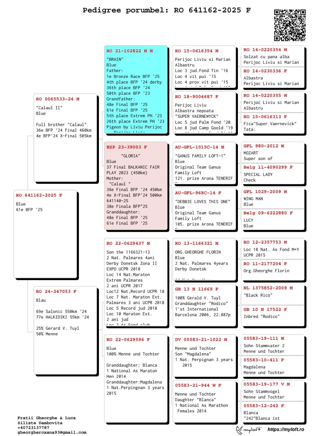 61	Final Race (506 km) 	 LUCA PIGEONS TRANSPORT	 RO 641162	