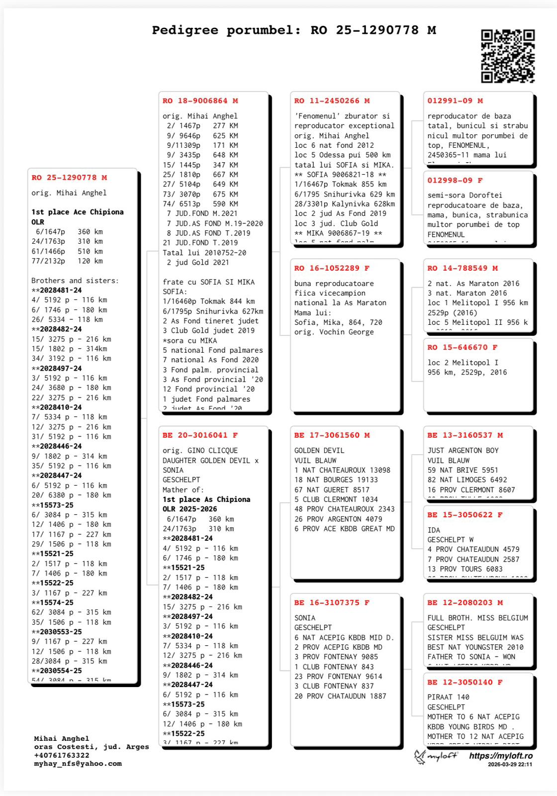 61	FINAL RACE (515 km) + 1 ACE	 ANGHEL MIHAI	 RO-25-1290778	