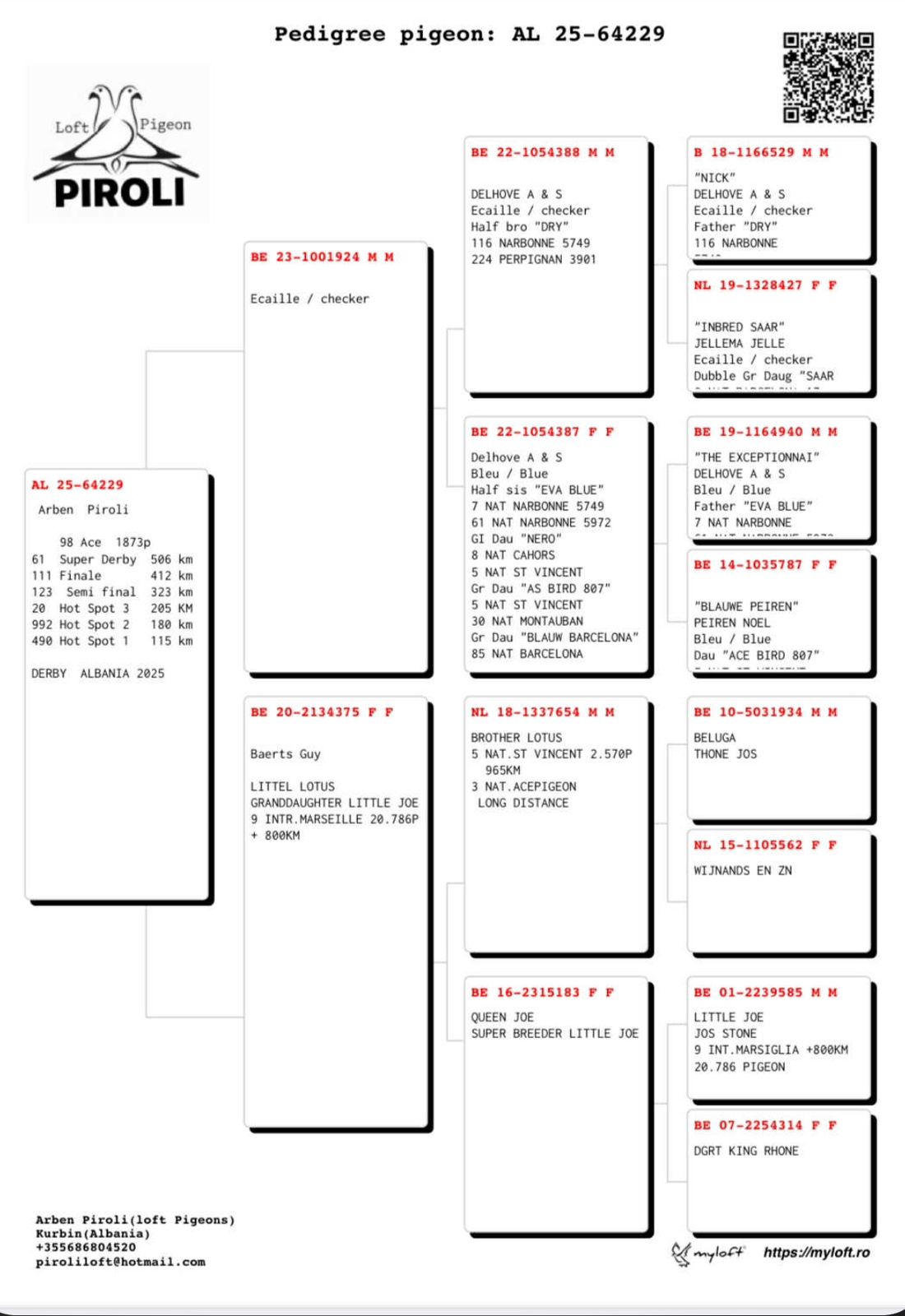 61	place Super Derby (506 km) 	 Piroli Loft Team A	 AL-64229-2025 	
