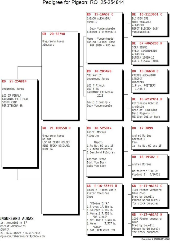 63	Final Race (506 km) 	 BUDEANU PIGEONS LOFT	 RO 254814	