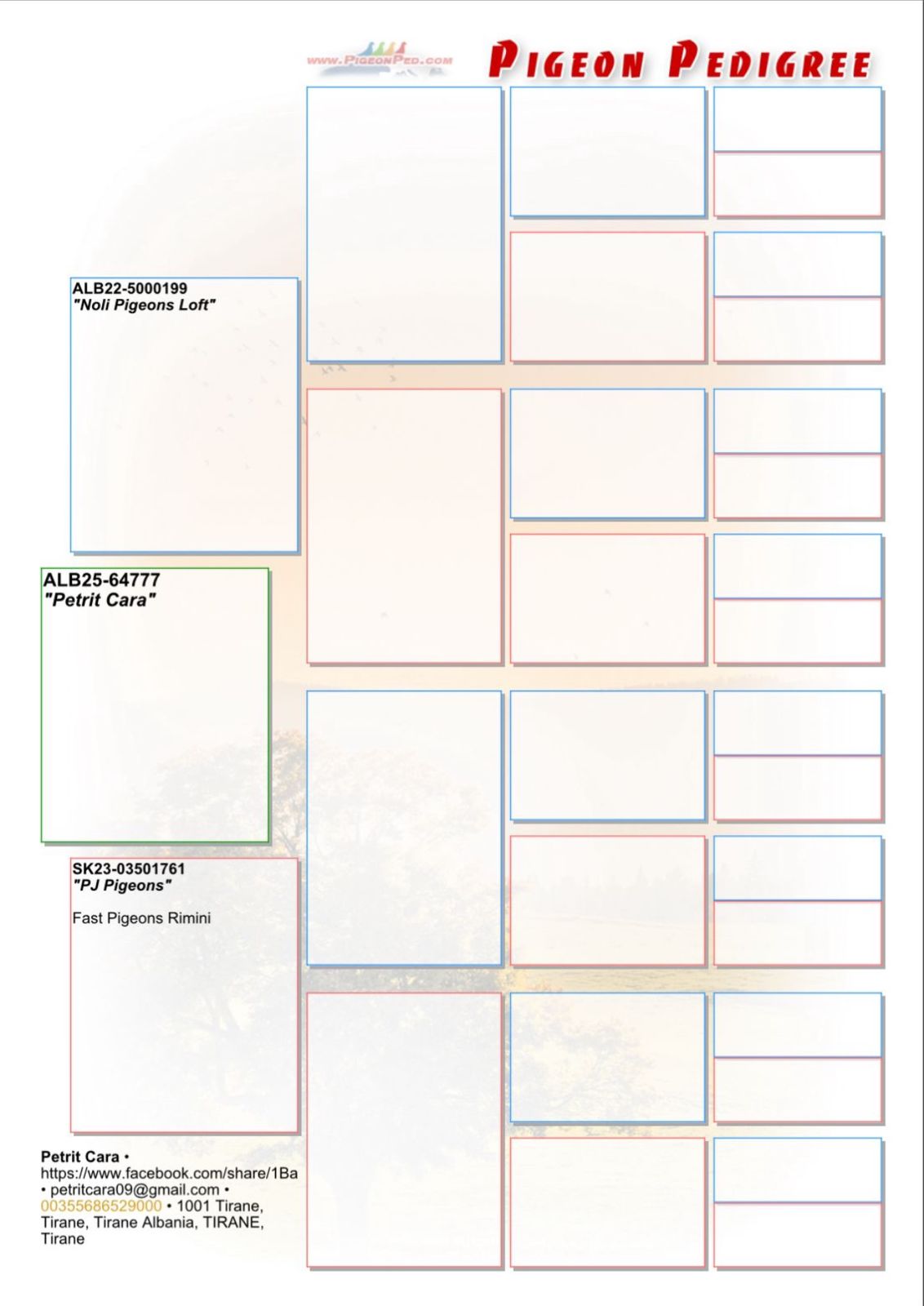 64	place Super Derby (506 km) 	 Petriti Anumi Loft Team B	 AL-64777-2025 	