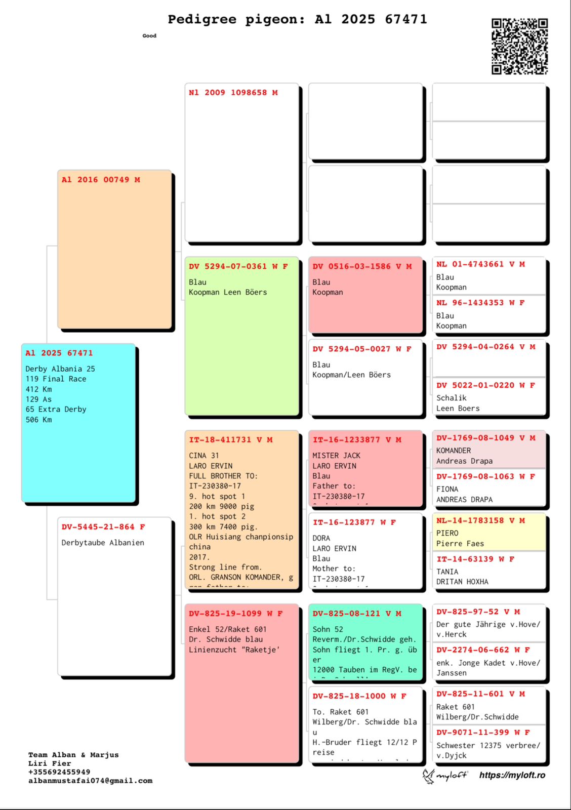 65	place Super Derby (506 km) 	 Marjus Behaj	 AL-67471-2025 	