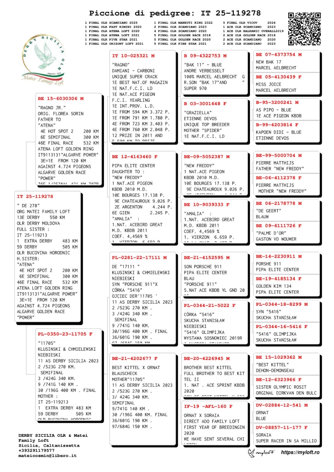 65	place Super Derby (550 km) 	 Derby Sicilia OLR	 IT-25-119247	