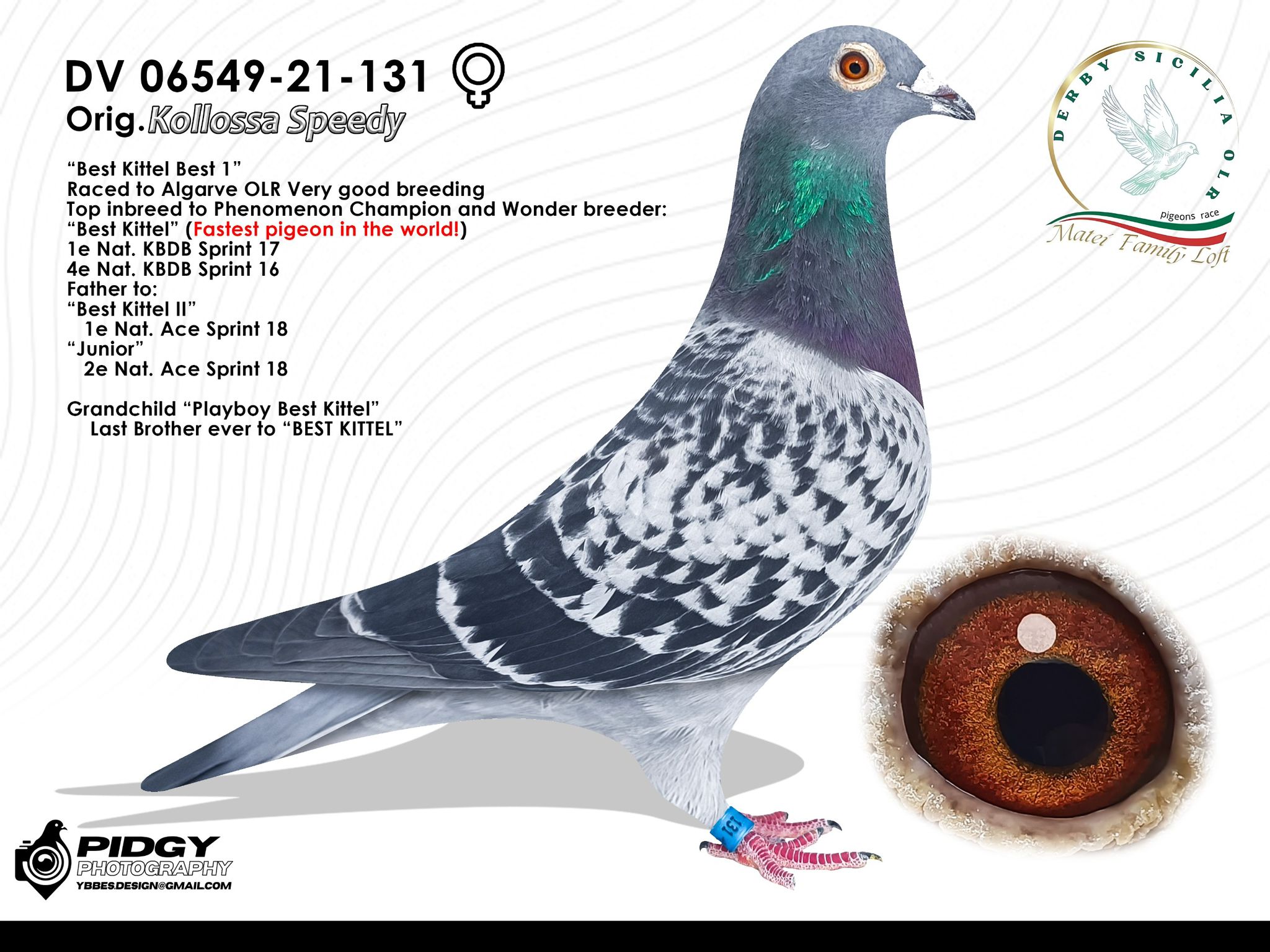 65	place Super Derby (550 km) 	 Derby Sicilia OLR	 IT-25-119247	