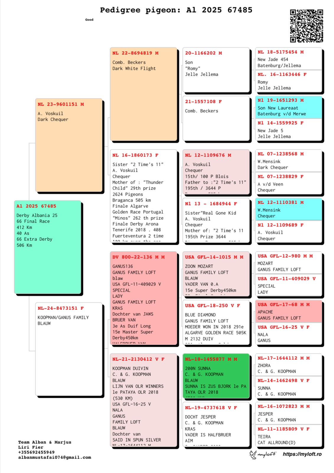 66	place Super Derby (506 km) 	 Bani & Marjus	 AL-67485-2025 	