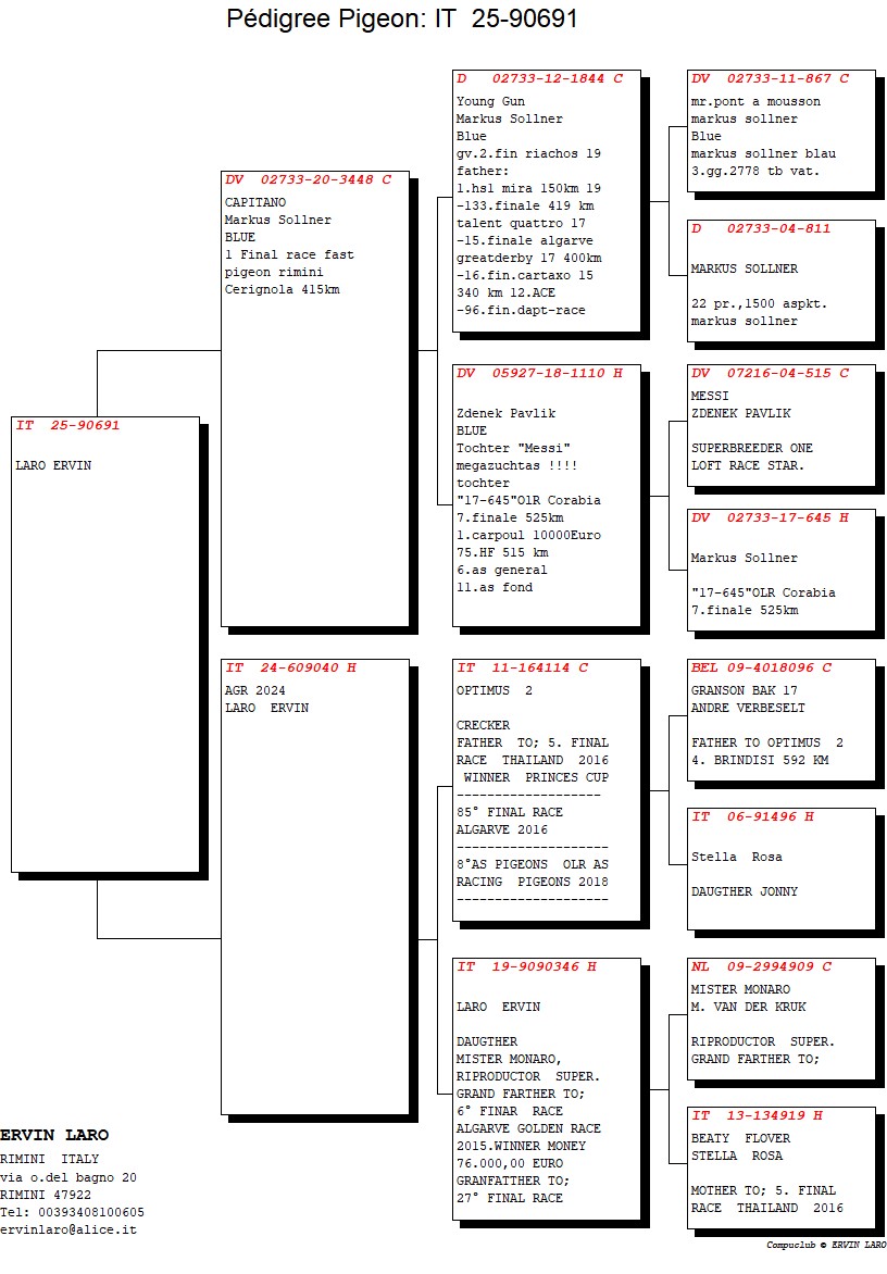67	Final Race (506 km) 	 FAST PIGEONS & ERVIN LARO	 IT 90691	