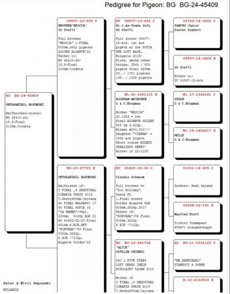 68	place Super Derby (506 km) 	 $ PUKE $ Team A	 AL-63710-2025 	