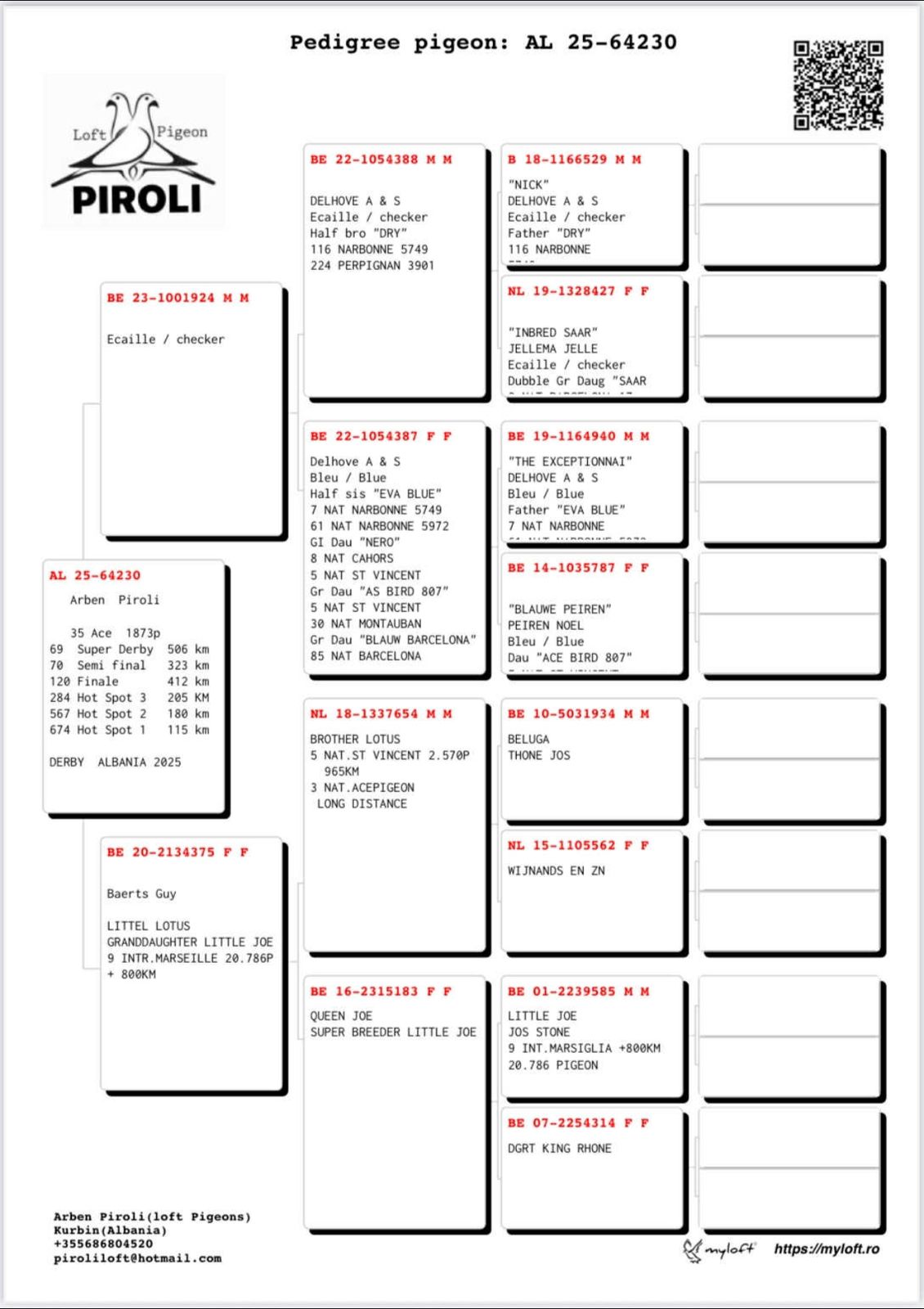 69	place Super Derby (506 km) 	 Piroli Loft Team A	 AL-64230-2025 	