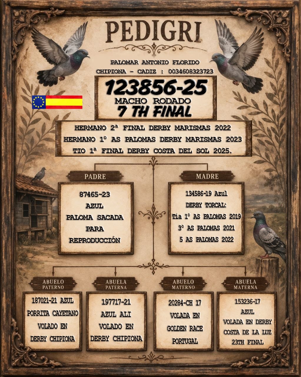 7	FINAL RACE (515 km) 	 THIAGO	 ESP-25-123856	