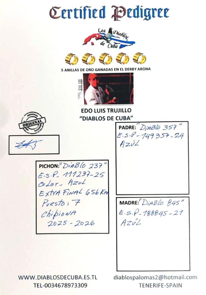 7	place (1 st drop) EXTRA FINAL (656 km) + 11 ACE FOND  	 DIABLOS DE CUBA & FLORIN	 ESP-25-111237	