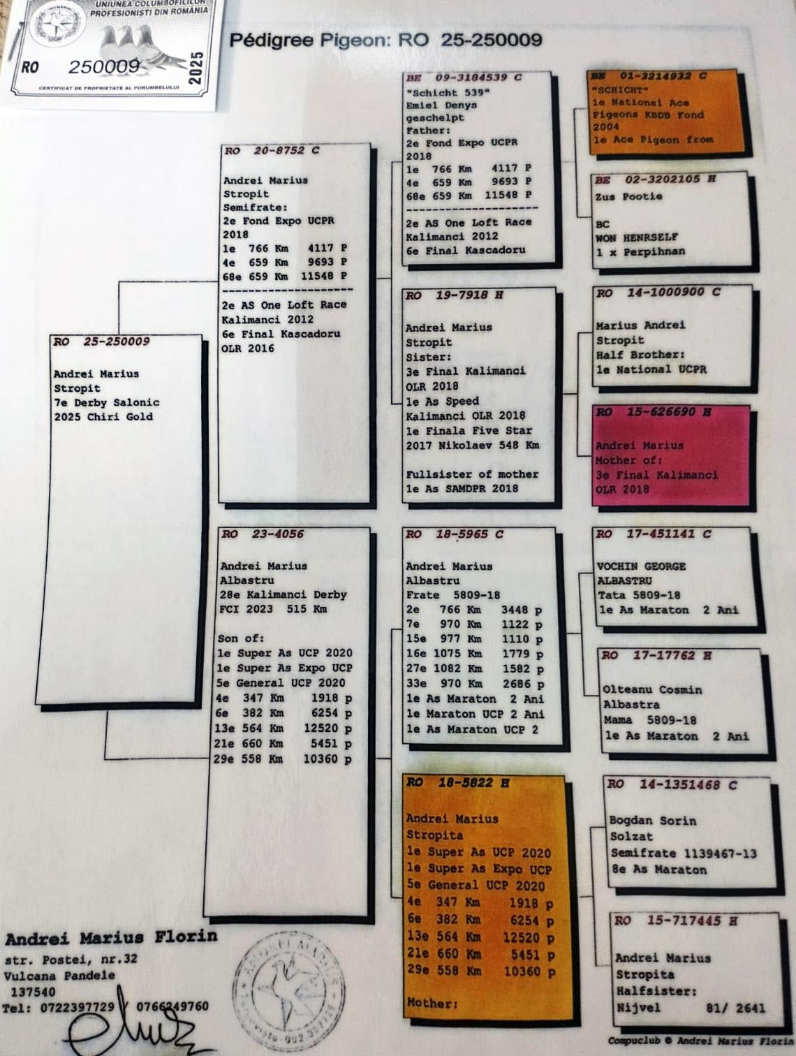 7 place Final (562 km) ANDREI MARIUS + MITU + ONCESCU - RO 257393/25