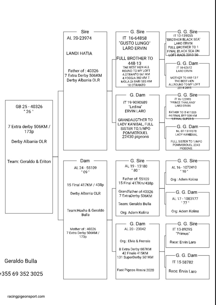 7	place Super Derby (506 km) 	 Geraldo & Eriton Team C	 GB-40326-2025	